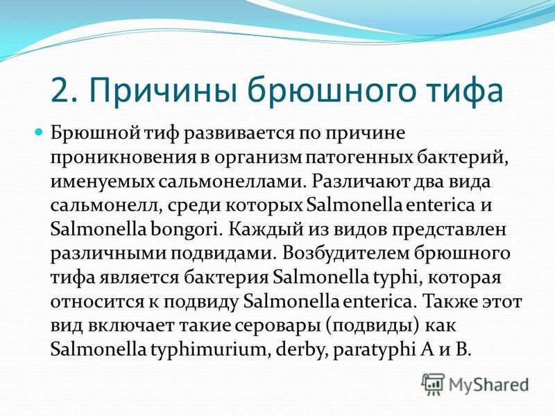 Брюшной тиф это. Брюшной тиф причины заболевания. Брюшной тиф причины возникновения. Брюшной тиф профилактика заболевания.