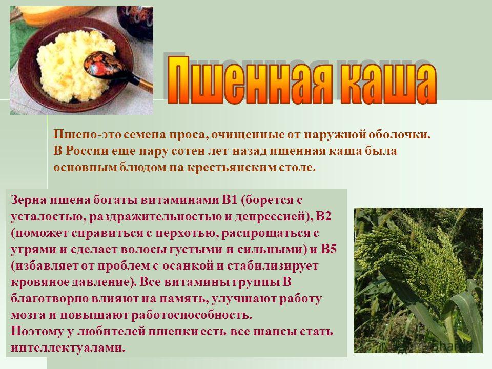 Пшенная каша чем полезна для фитнеса