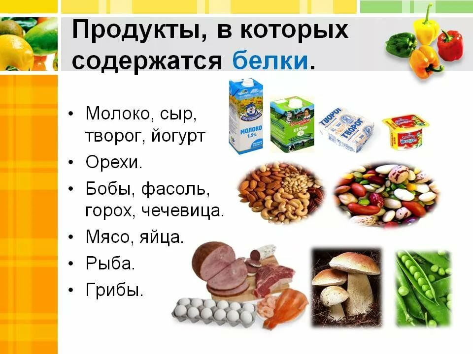 Где больше всего белков. Какие продукты содержат белки. В каких продуктах содержится много белка список. Список продуктов содержащих белок. Продукты которые содержат белок список продуктов.