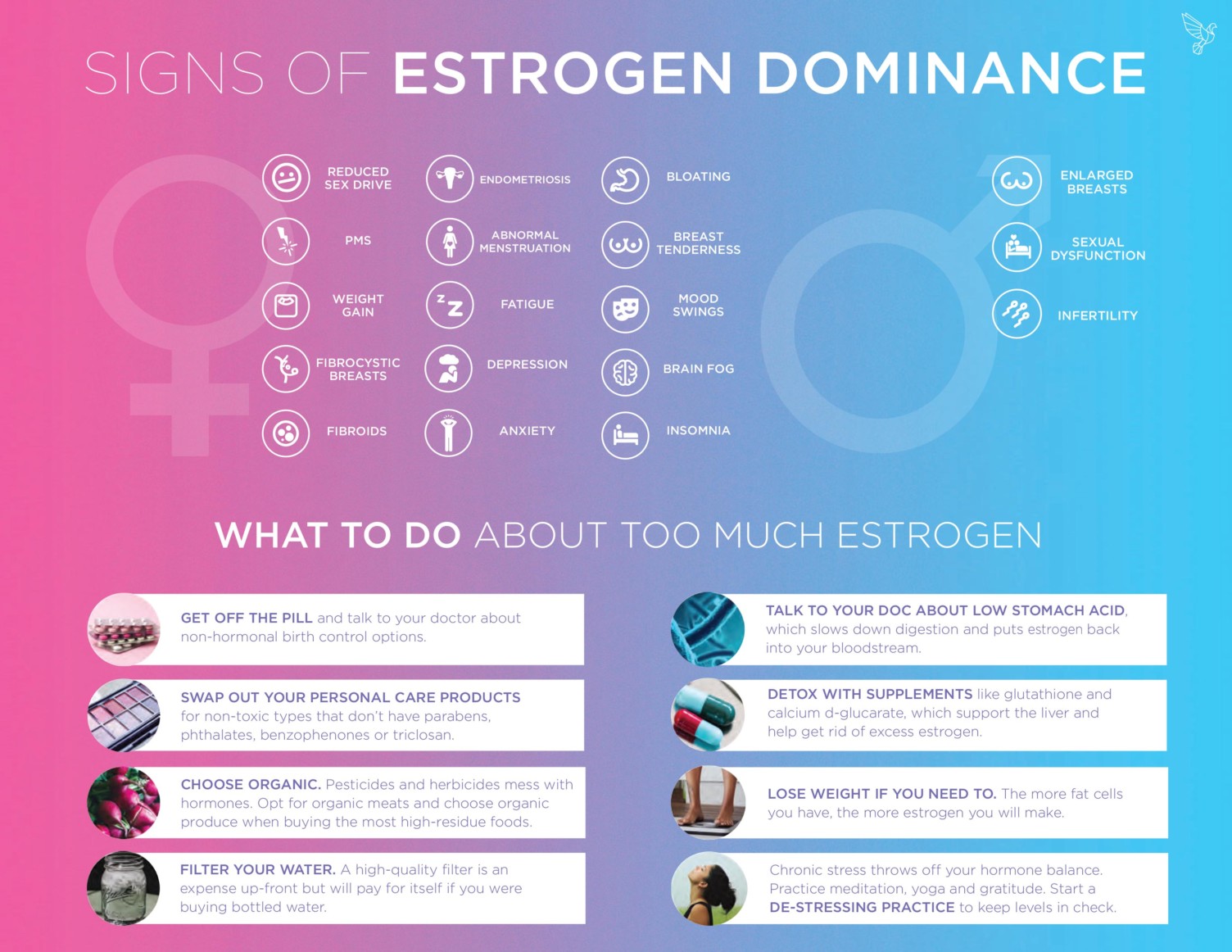 estrogen dominance infographic