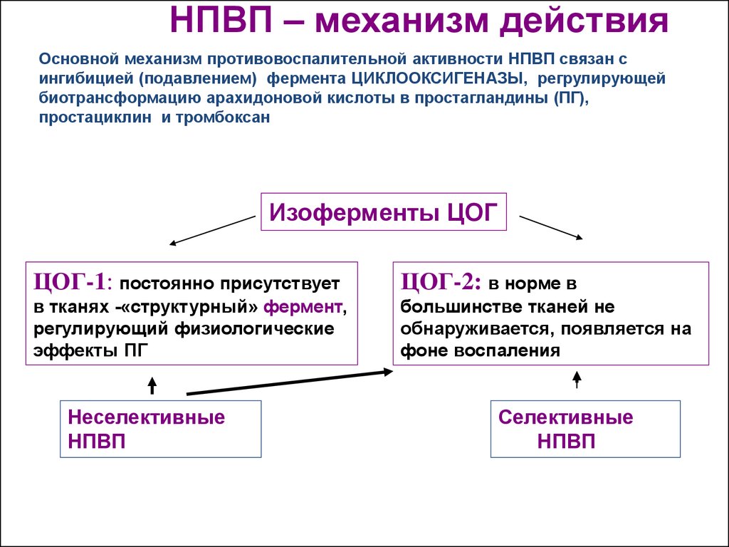 Механизм действия нпвс схема