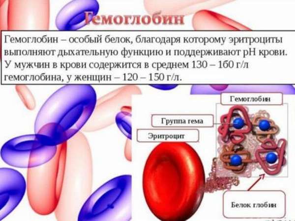 Опасности и последствия низкого гемоглобина с показателями ниже 80 г/л