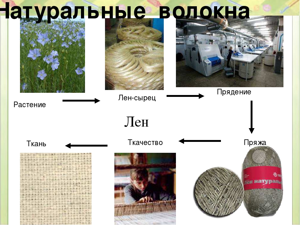 Растение для производства ткани. Лен изготовление ткани. Лён как делают ткань. Как из льна делают ткань. Как изготавливают лен.