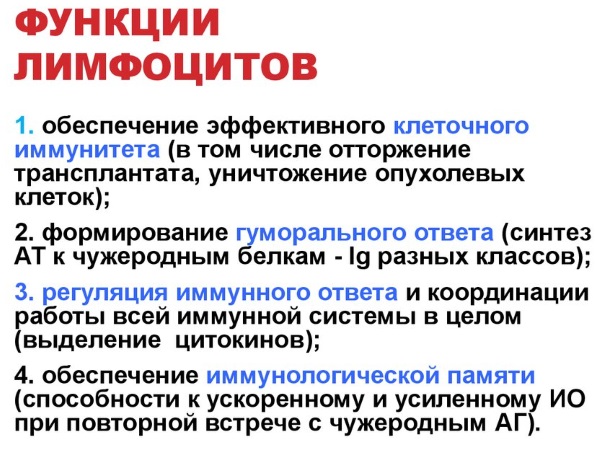 Повышенные лимфоциты в крови у женщин. Причины, норма по возрасту, лечение