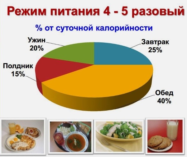 Желчегонные средства при застое желчи: народные средства, таблетки, травы, лучшие для детей