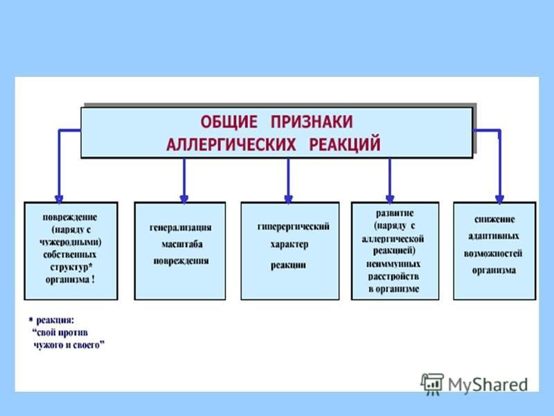 Аллергия как признак иммунодефицита презентация