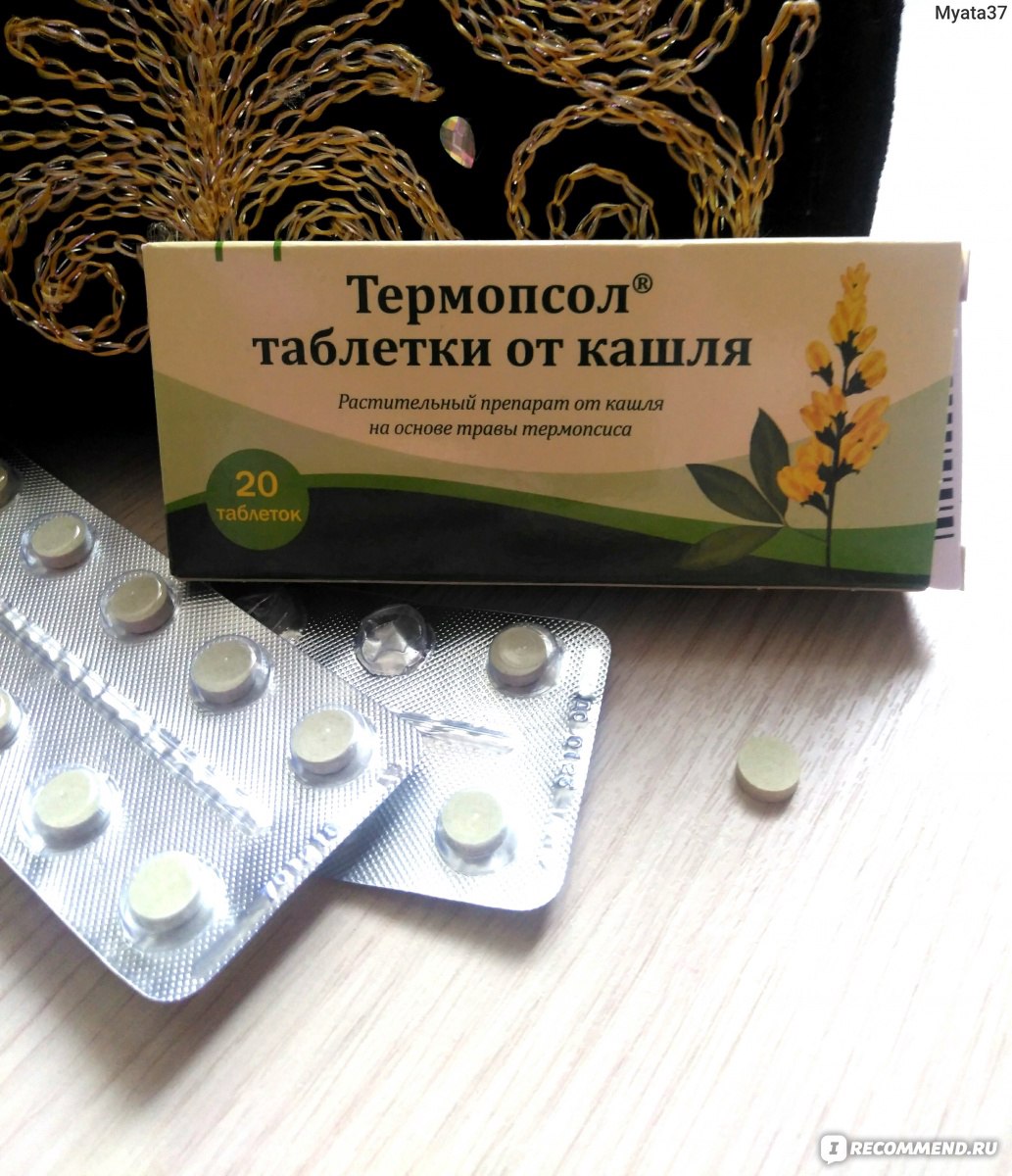 Как принимать таблетки термопсис