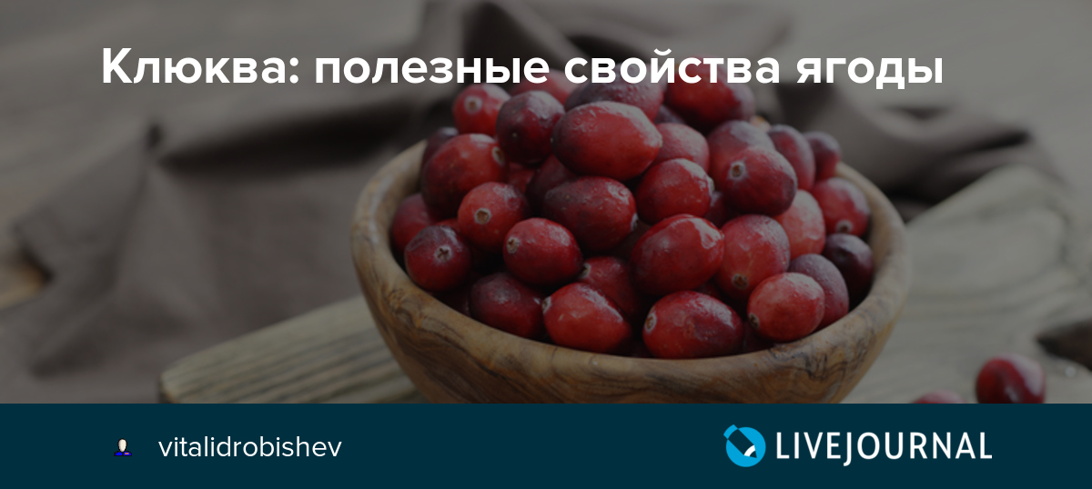 Шиповник сгущает или разжижает. Клюква понижает или повышает давление. Ягоды загущающие кровь. Клюква полезные свойства для организма женщины. Клюква разжижает кровь или Сгущает.