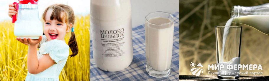 Польза нормализованного молока