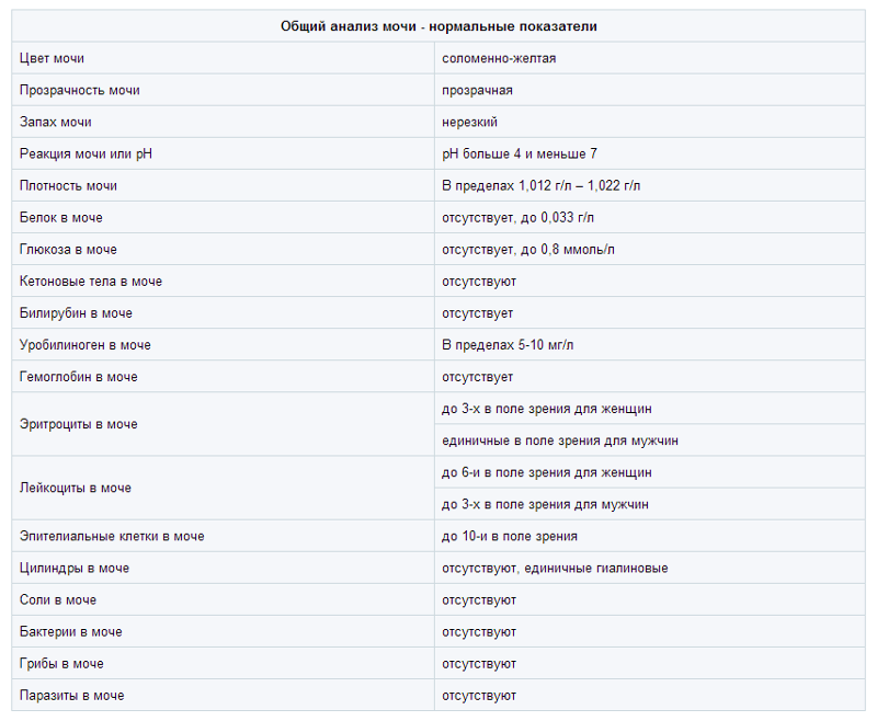 Расшифровка мочи у женщин таблица