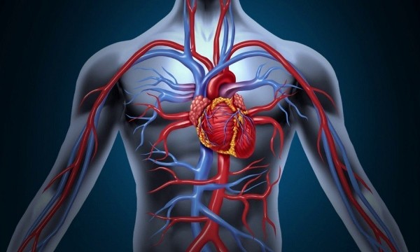 Болит грудная клетка - проблемы с сердцем