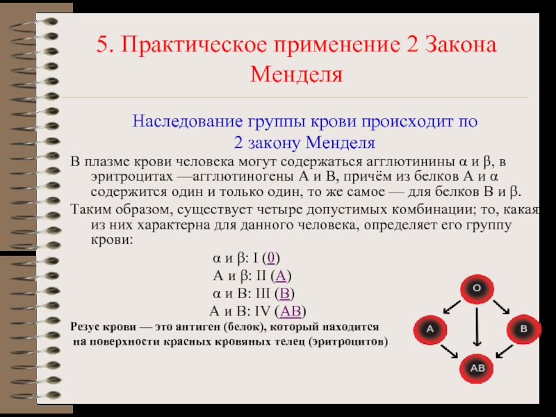 Проект наследование групп крови