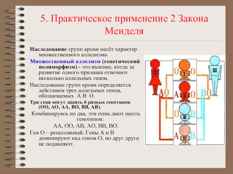 Проект наследование групп крови