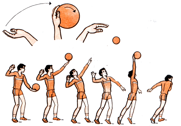 Правила игры в волейбол