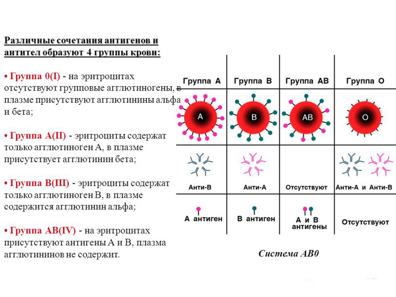 Антиген d системы резус. Схема группы крови резус-фактор. Группы крови таблица антигены антитела. Антигены эритроцитов 1 группы крови. Группа крови схема наследственности с резусом.
