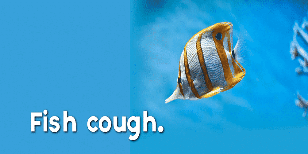 fish cough