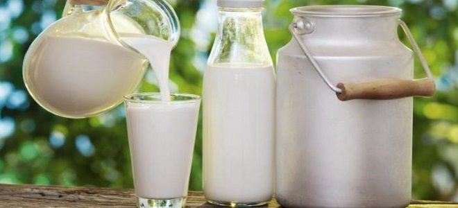 цельное и нормализованное молоко в чем разница