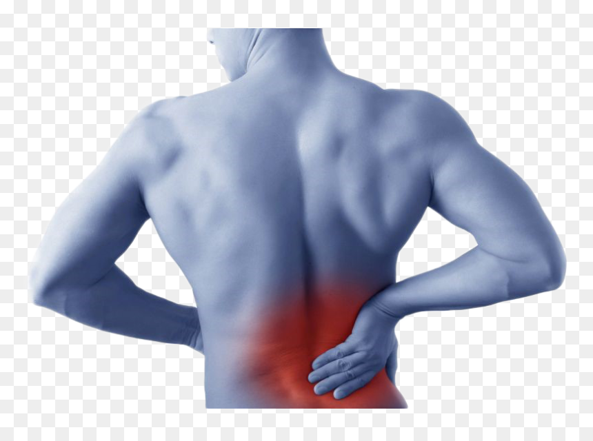 Боли в спине нижние бока. Боль в спине. Болит спина. Мышечная боль. Локализация боли в спине.