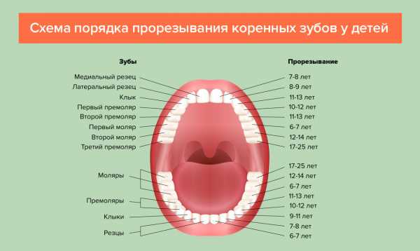 Частый стул при прорезывании зубов в год